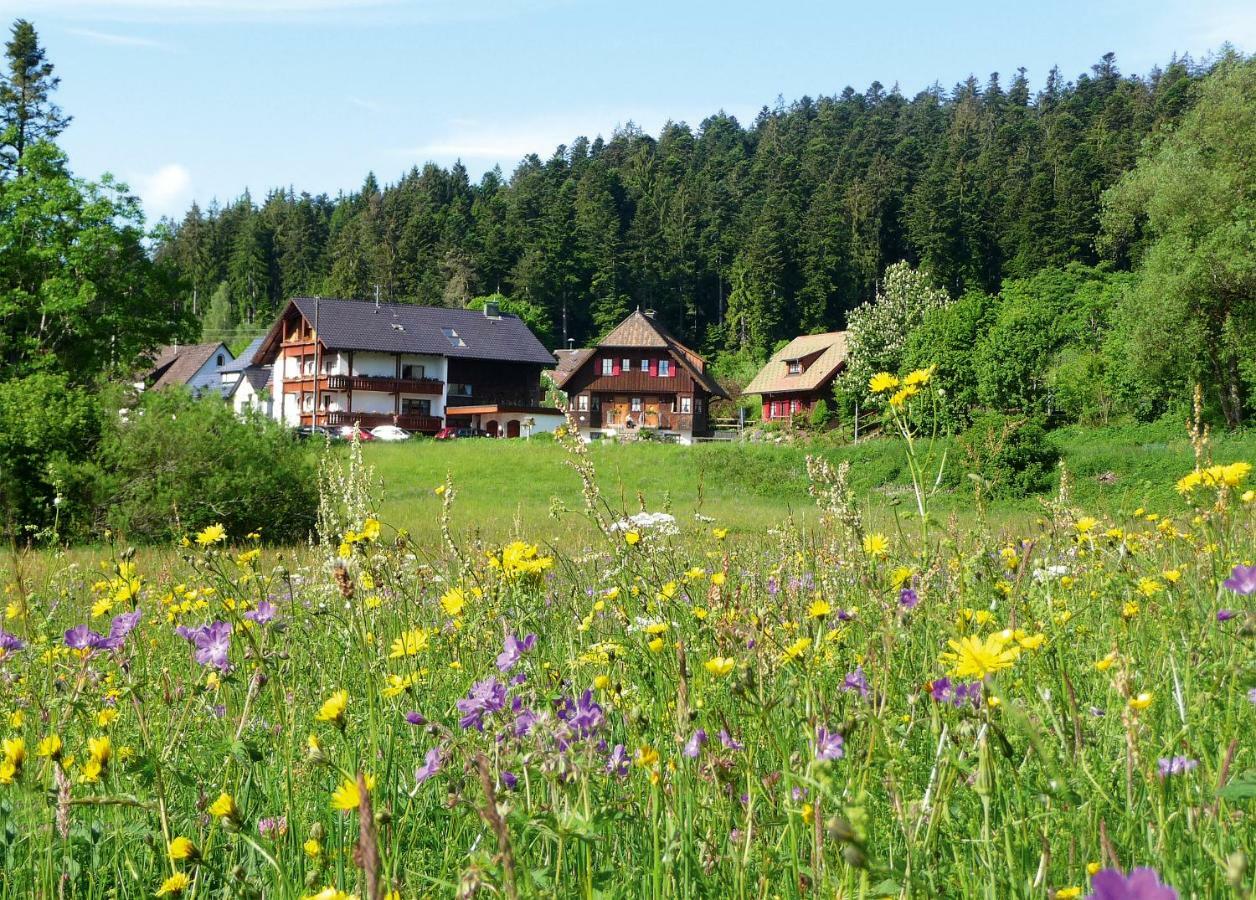 Landhaus Anja Freudenstadt Esterno foto